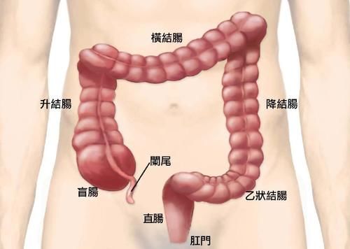 大肠|揉肚子能治疗便秘？但很多人却不得其法，医生教你正确的方法