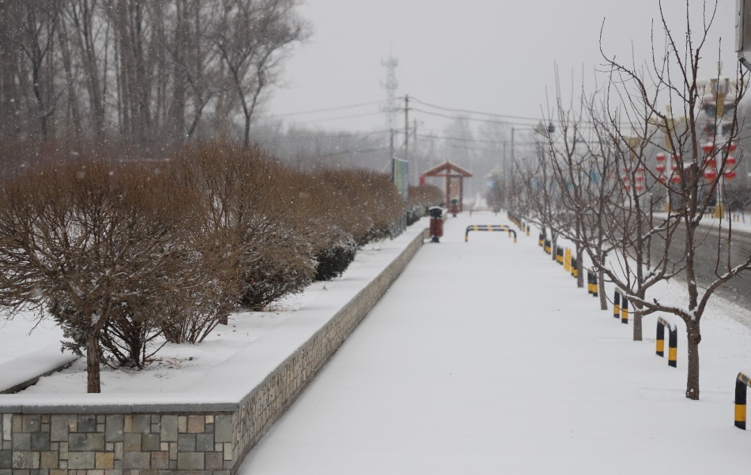 春雪如期而至 延庆冬奥赛区宛若仙境！