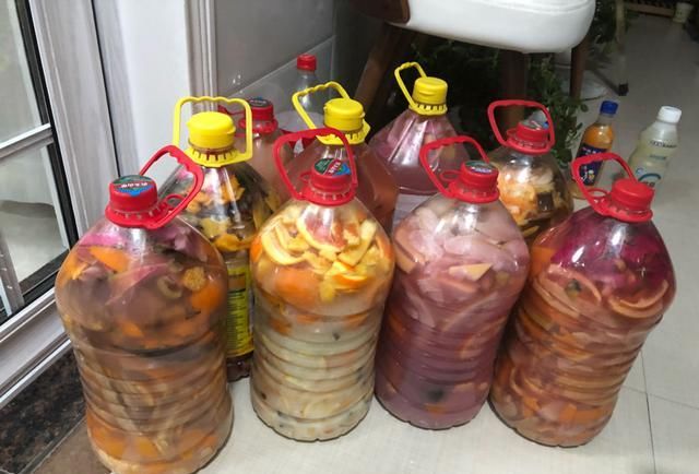 橘皮、柚子皮别扔,泡水里成大补肥,养花太有用了