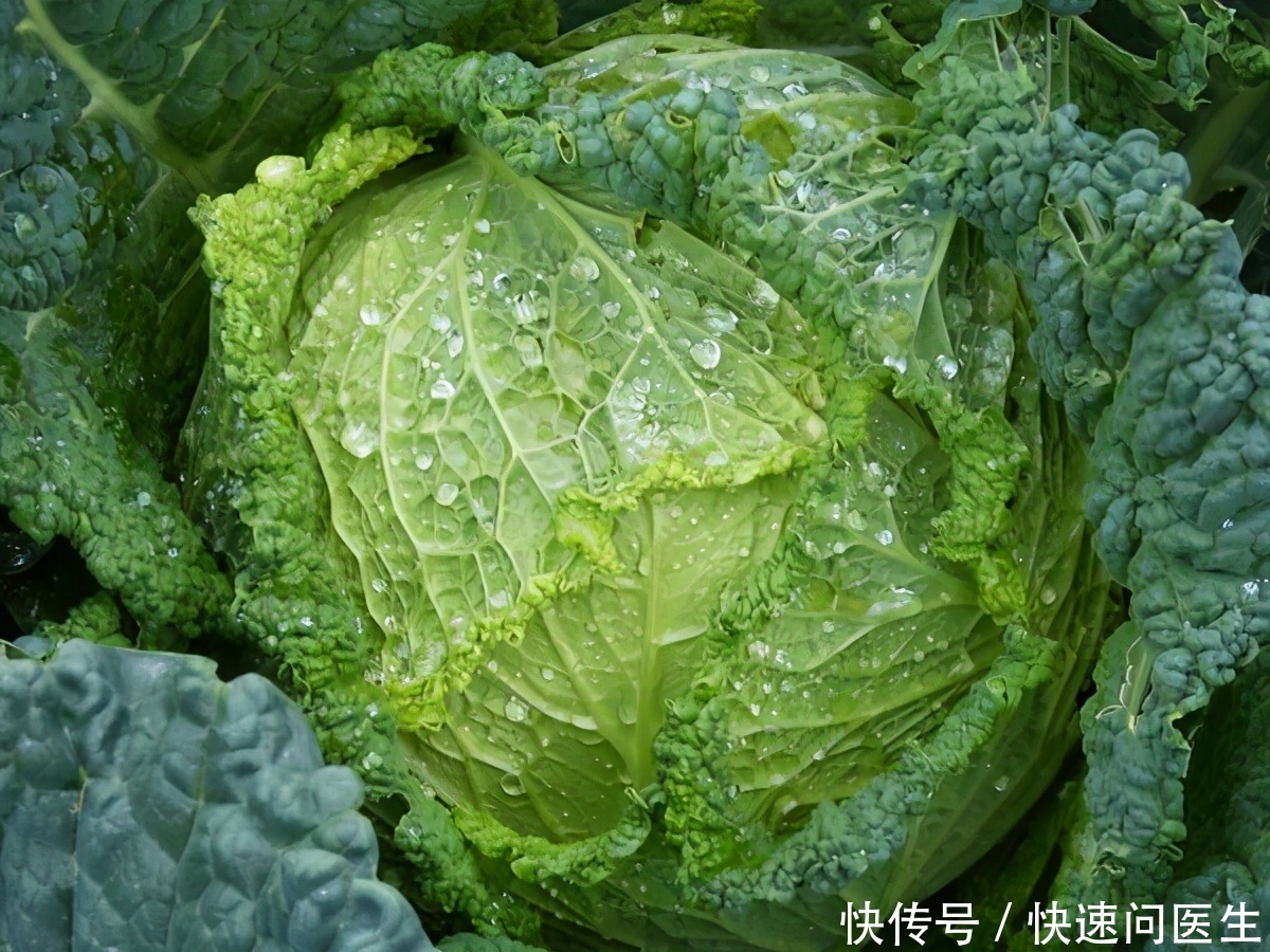 肠胃有个“保护伞”，若你爱吃，促进代谢，肠胃越来越健康