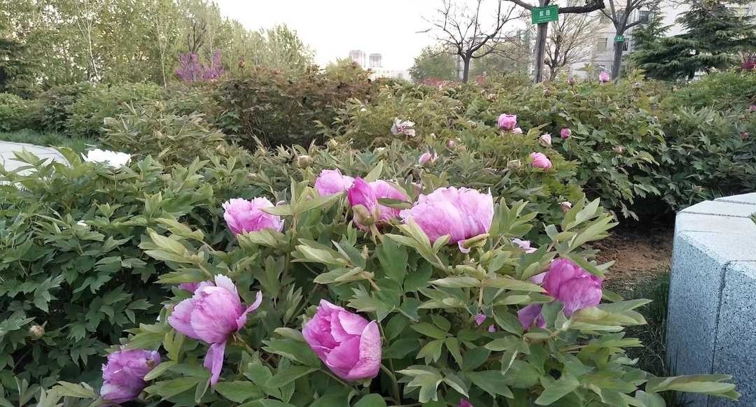 曾国藩:凡事应该谨慎俭朴,越是鼎盛时期越要收敛