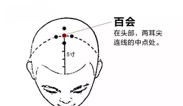  穴位|被称人体自带的“稳压药”，时常揉一揉，血压不升高，长寿更健康