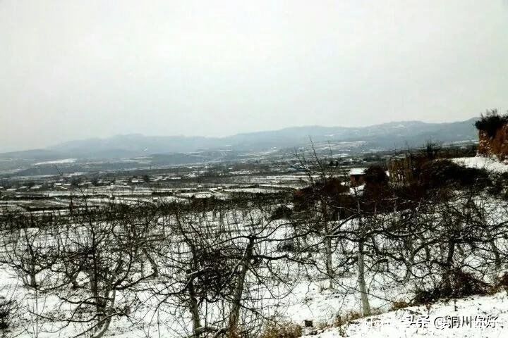 沙漠水：初春的小雪