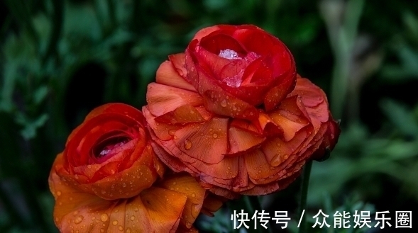 酒桌!老祖宗酒桌识人术:记住三个口诀,帮你轻松看穿一个人