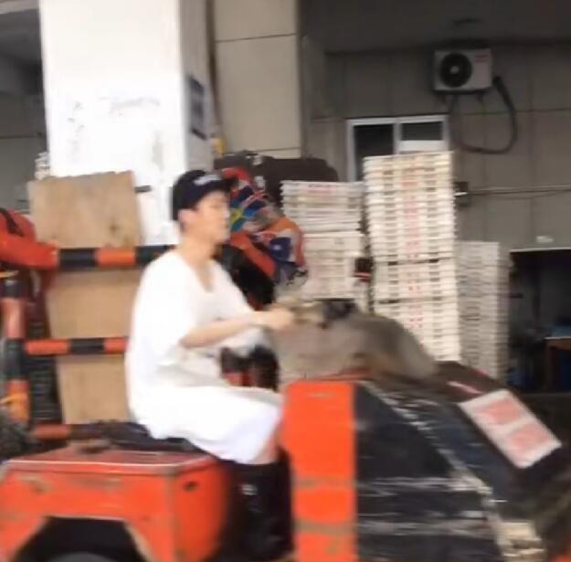  加盟|《哈哈哈哈哈》综艺节目官宣，鹿晗、邓超、陈赫组合加盟，兄弟情深