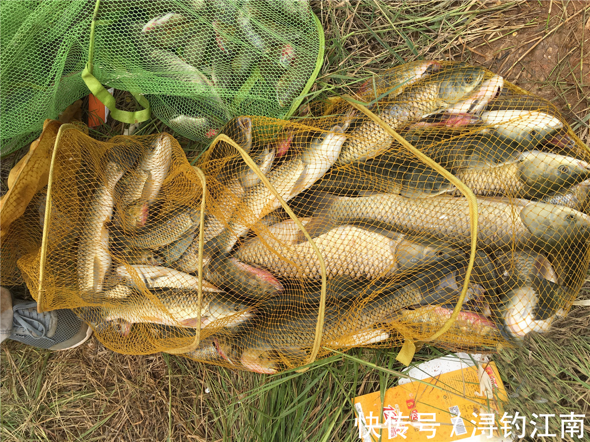 野钓成为高手的标志之一：会做窝。可具体要怎么做？一文读懂其中的主要思路