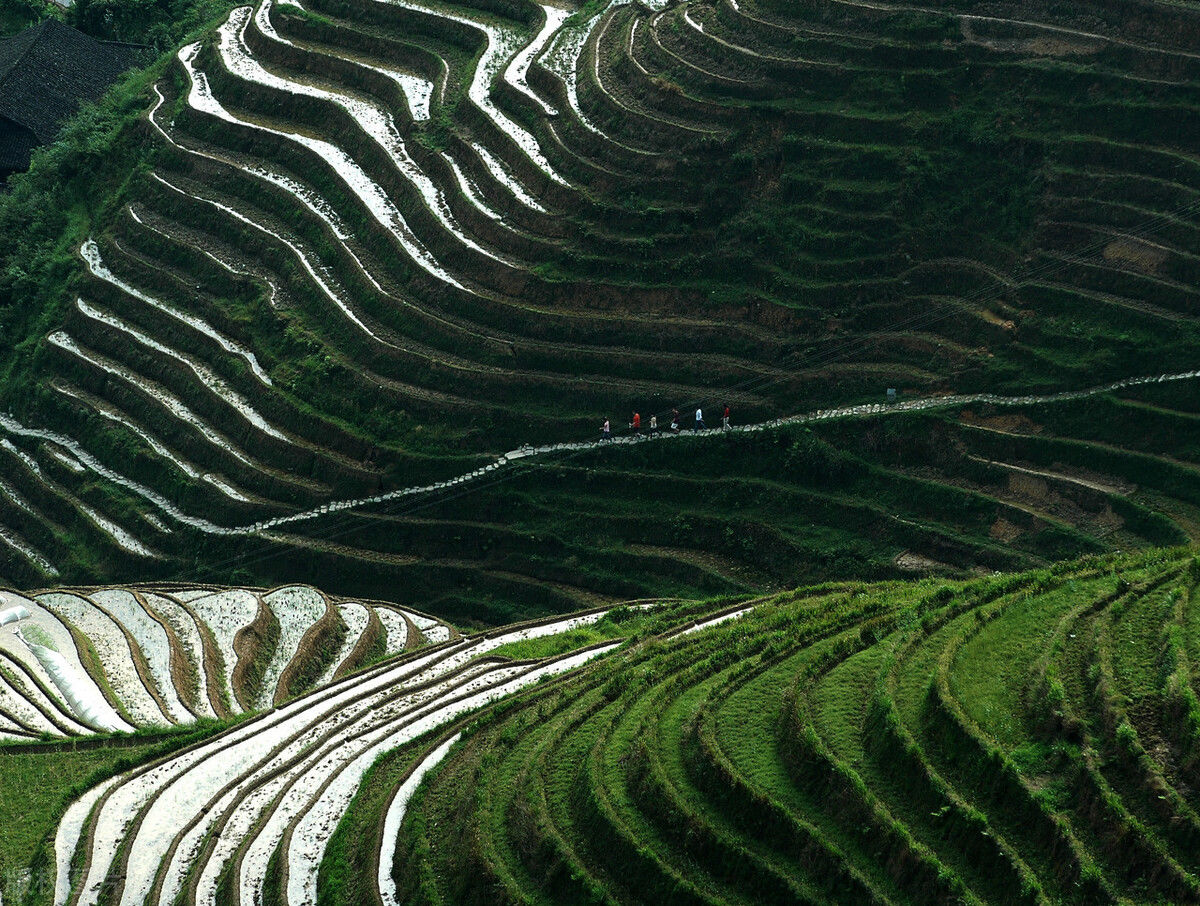 大峡谷|6个地方，6种颜色，36张图片，阅尽人间最美六月天