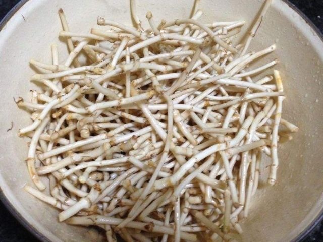 鱼腥草鱼腥草|女性可以多吃3种食物,美容养生、延缓衰老,好吃又健康!