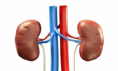 肾好的男人,在睡觉时一般有4个好现象,现在知道也不晚