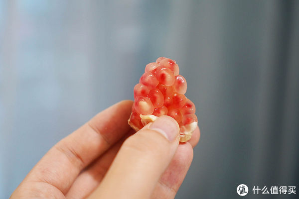 菠萝|戒了奶茶爱上原汁！看我用近十种蔬果重度折腾原汁机