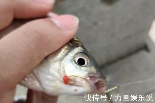 冬天不管在哪钓,碰到这3种天气,请假也得抛两竿,莫忽视哦