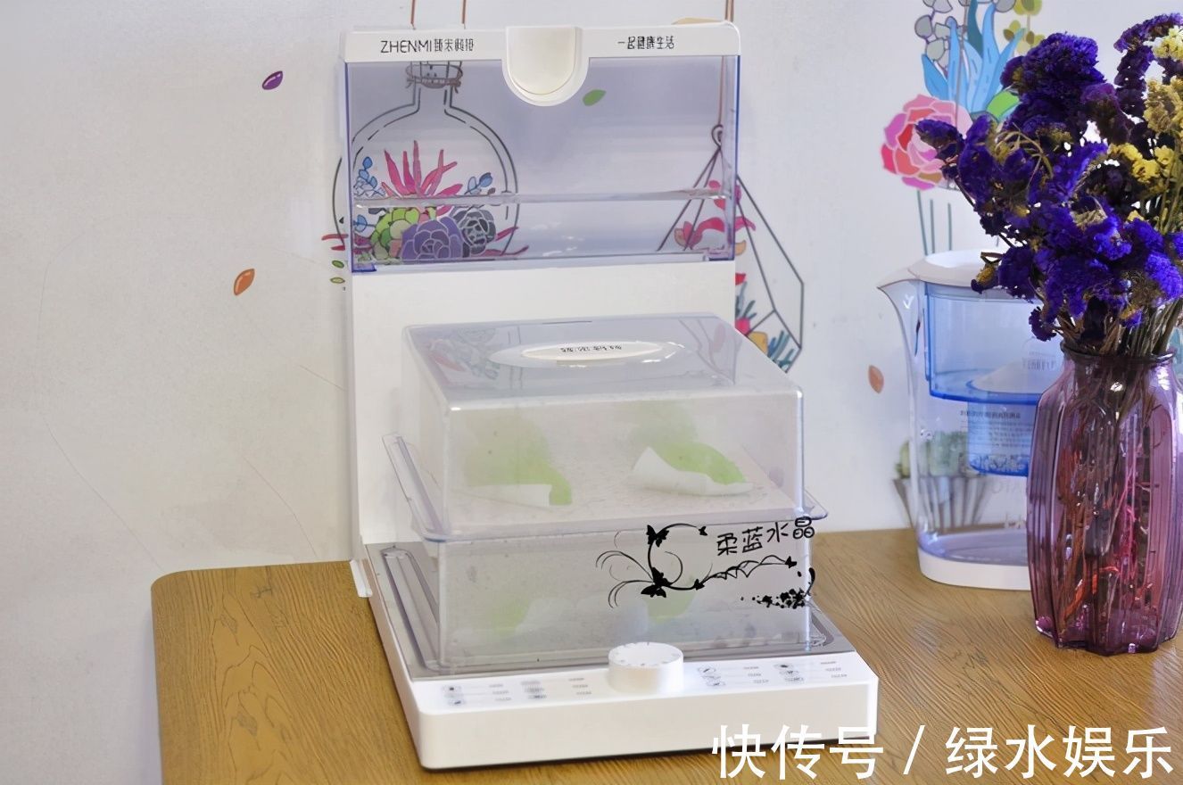 菠菜|日本人的“长寿秘密”被发现!我国量大却很少人吃,含钙比牛奶高