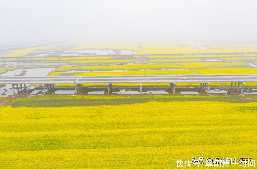 多图直击！阜阳这地方，再次爆红！为啥呢？