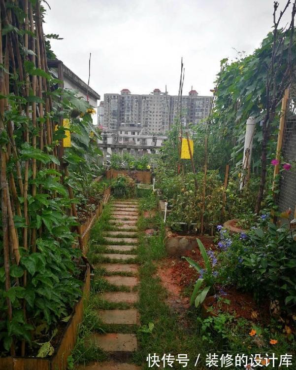 鱼池|为了露台他买下顶楼,一番大改后过上了田园生活,让人羡慕!