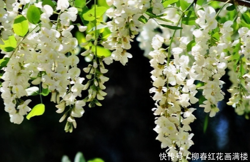 冬天來了，多吃以下3種食物，滋潤肌膚、去除皺紋、瘦身纖體