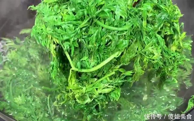 夏天，用它包饺子，又香又嫩，不花1分钱，比韭菜茴香都好吃