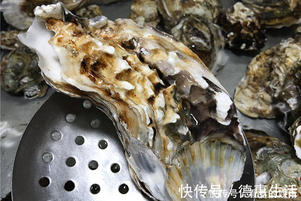 天然荷尔蒙|“天然荷尔蒙”就在身边,男性50岁后常吃,延缓衰老,更显年轻