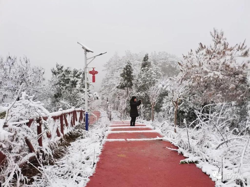 分水迎来新年第一场雪