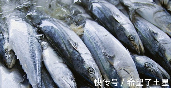 红娘鱼|买鱼时,聪明人专挑这3种鱼,肉质鲜嫩营养高,目前无法人工养殖!