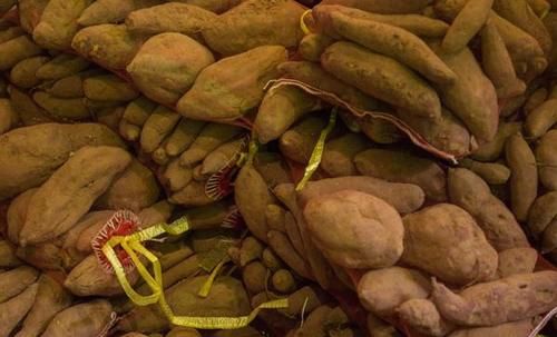 血糖高|血糖高吃红薯,是升血糖还是降血糖?医生告诉你,不要再吃错了