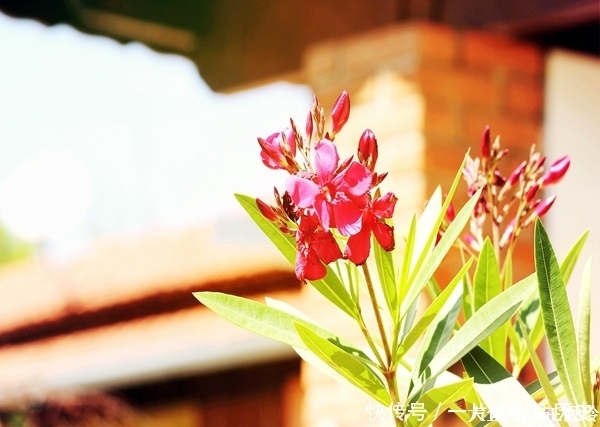 眉头|眉头皱纹怎么去除 ,笑看世间变迁 ,而你仍旧青春常在!