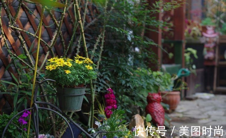 小院|荒废多年的80㎡小院，2年半时间打造成下沉式花园，太漂亮了！