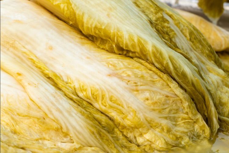 腌东北酸菜，不要直接抹盐，谨记3个诀窍，酸爽脆嫩，不会发霉