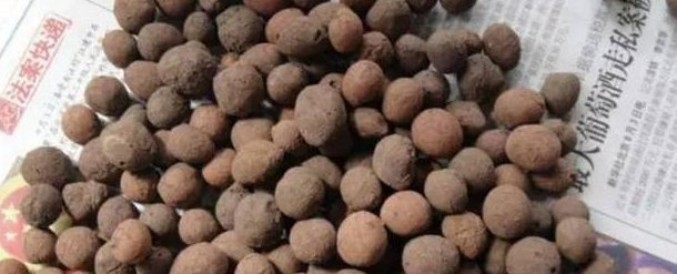 盆里扔2样东西，养花10年不烂根，叶子油光瓦亮，花苞挂满枝头