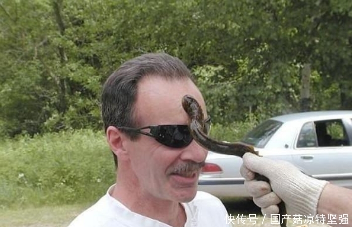不知所措|男子夜钓发现怪异生物, 捞上不知所措, 网友: 油炸最美味