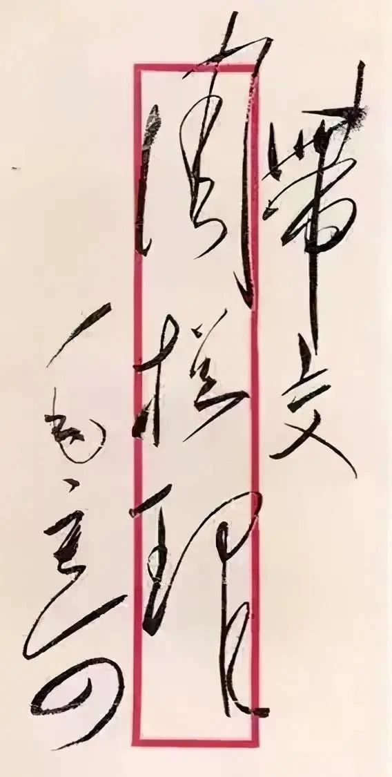书信$伟人书信封皮上的字迹更开放,更洒脱,气势磅礴,变化多端