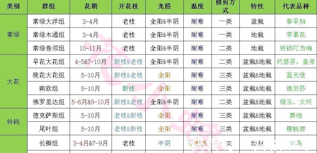 不同种类的铁线莲怎么修剪和造型 三种修剪方法和造型图文详解 粉紫色