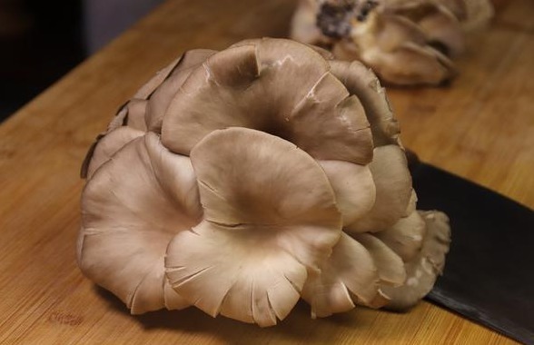 炸蘑菇，用淀粉还是用面粉牢记“用粉比例”，蘑菇酥脆不易回软