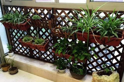 储物柜|你家如果只有一个阳台,那阳台就参照这样装吧,不浪费半点空间