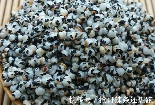 邳彤|虽有王命，不留其行！农村常见的麦蓝菜，为何叫“王不留行”？