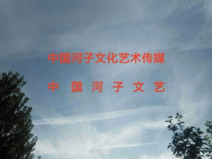 怀思|梅花的心灵阳光的歌声