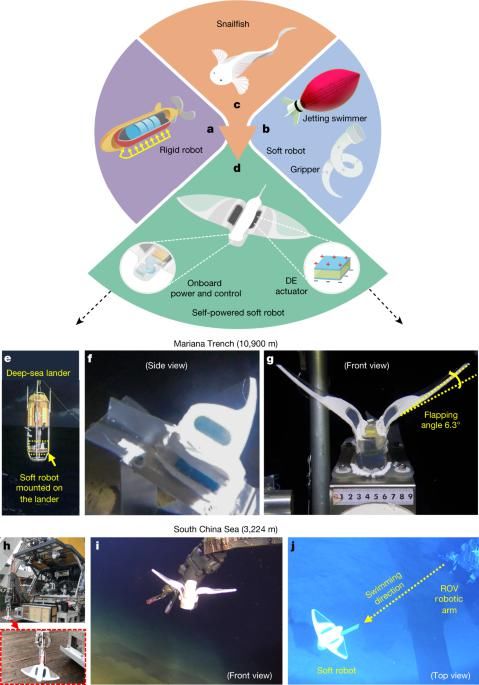 科学家设计出类似鱼的软体机器人可在马里亚纳海沟中进行探索