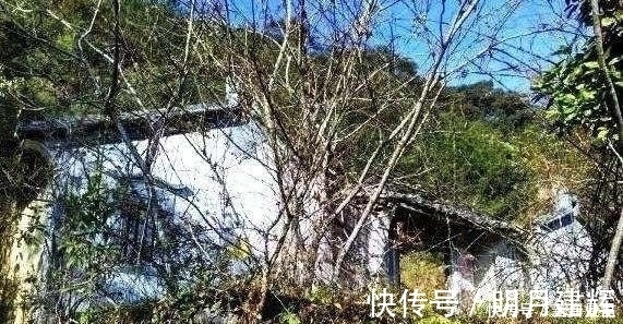 青山绿水|发现深山老林的无人村,这里却是风景优美,青山绿水