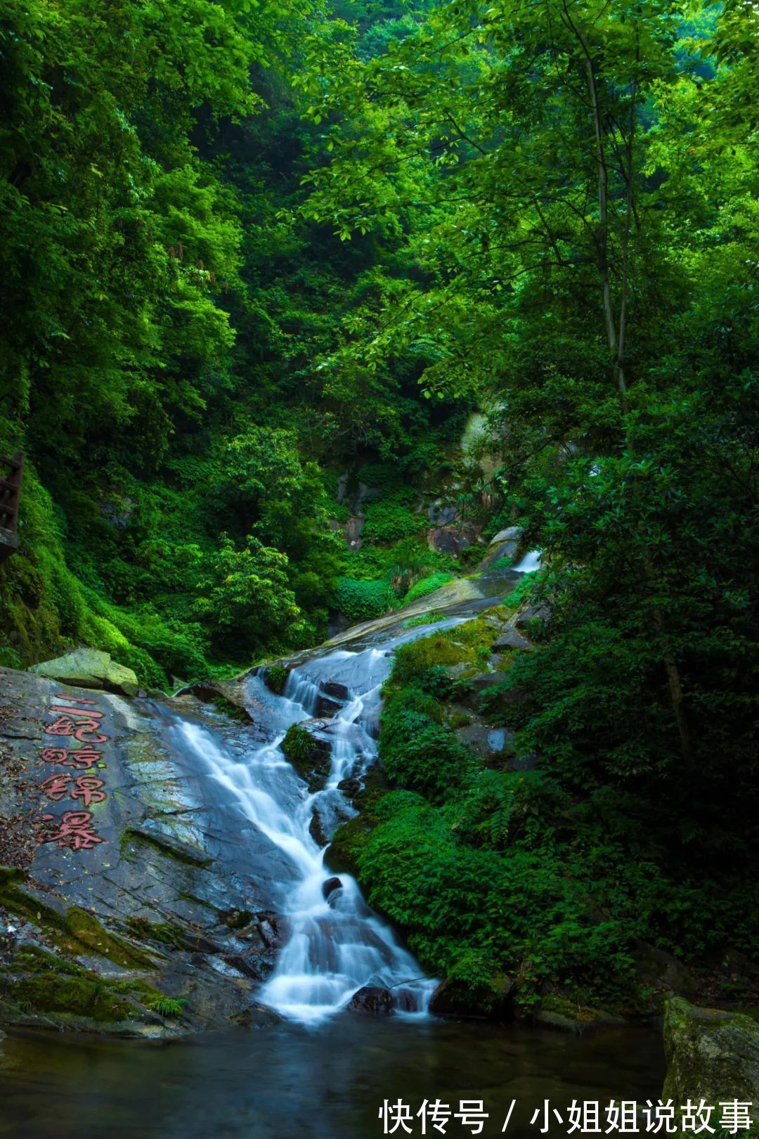 醉氧|中秋打卡｜出发舜皇山！开启一场“醉氧”之旅