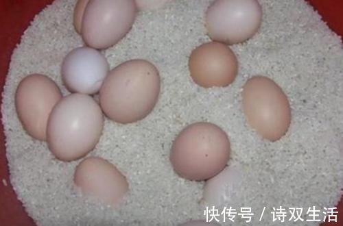 陶缸|鸡蛋买多了，别放冰箱保存，教你4个土方法，保鲜3个月，很管用！