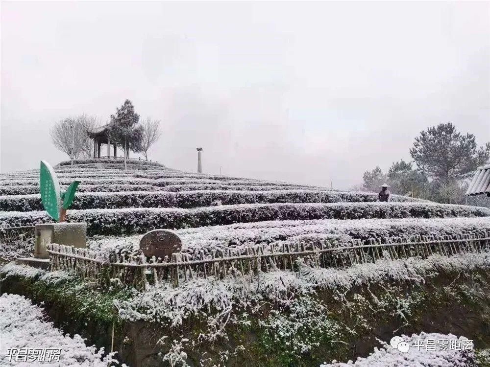 朋友圈|平昌下雪了，照片刷爆朋友圈！却带来了一个坏消息....