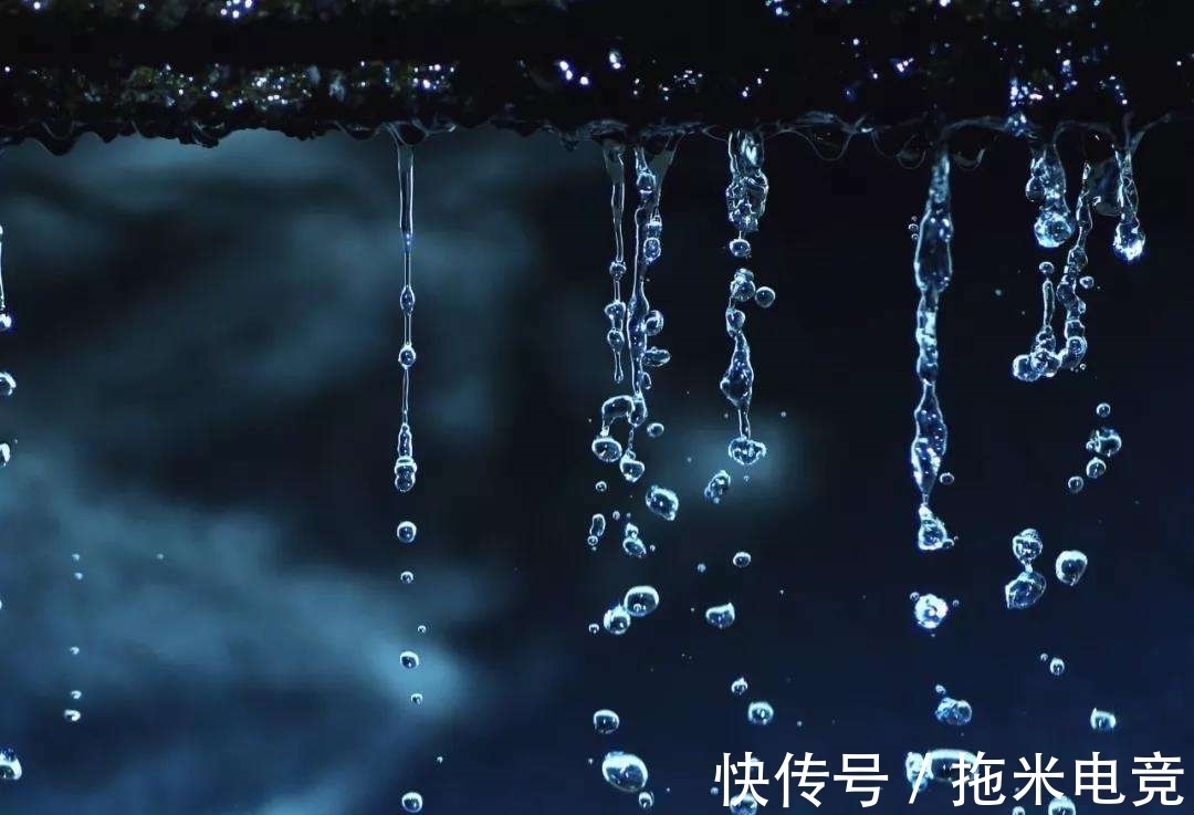 莎鸡振羽|让我们一起温柔地走进,诗中的那些良夜