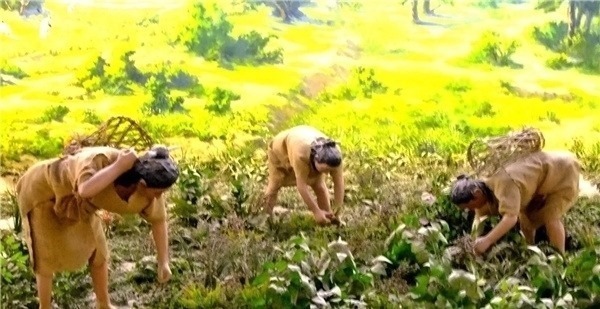 姓氏&中国人为何都随父姓而不随母姓?并不是封建传统,而是有一定道理