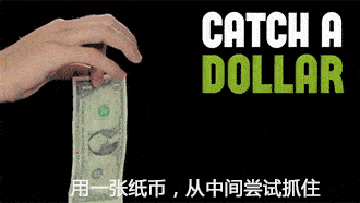 |搞笑GIF: 姑凉有什么不满冲我来