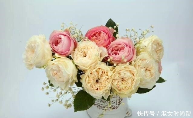 那些被煽情的文案打动,集齐了四系列月季的,你们后悔了吗