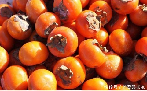 一个柿子可治“3种”疾病，很多人还蒙在鼓里，告诉家里人