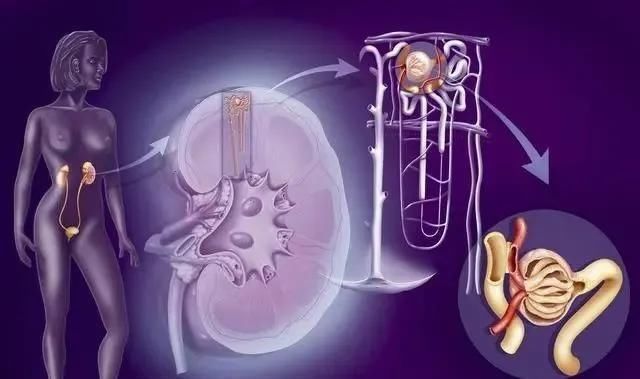 阿是穴|养心、养肝、养肾、养肺、养脾,养五脏方法齐全了