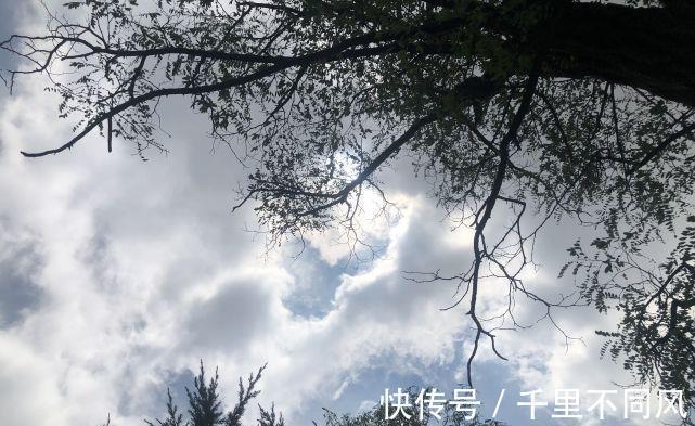 脚趾|2021年景如何？老人说：今年是“山火贲”，啥意思？何为山火贲？