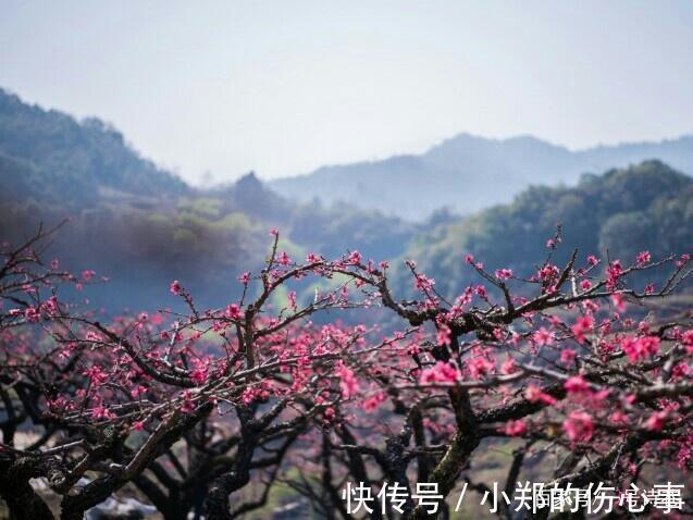 开篇|一首豪气干云的五言诗,犀利语言写尽兴亡之叹,开篇两句笔力铮铮