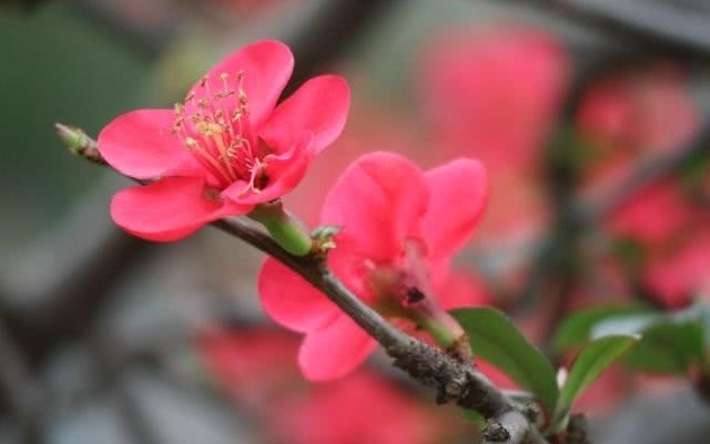 马一浮|他20岁丧妻,岳父劝他再娶也被拒绝,独身活到84岁