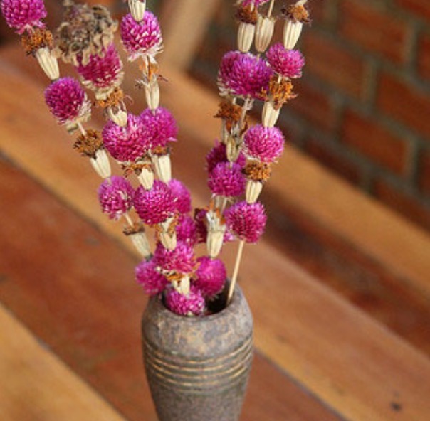 没杀|越战最委屈的国家，没杀过一个美军，却遭2.6亿枚炸弹疯狂报复